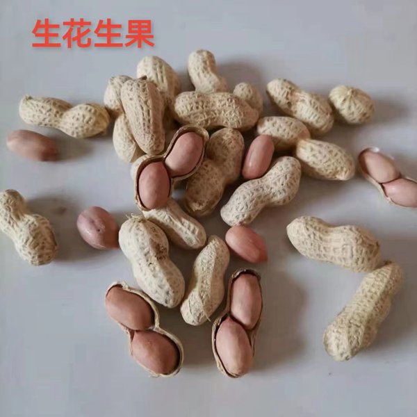 主图3